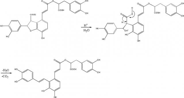 Salvianic Acid A: The Secret Compound Revolutionizing Heart and Brain Health cover picture