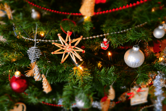 Unwrap the Magic: Top Tips for Exciting Christmas Activities to Enjoy Outside Your Home cover picture