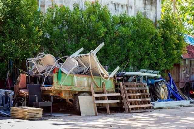 What Systems Main Role Is Waste Removal? cover picture