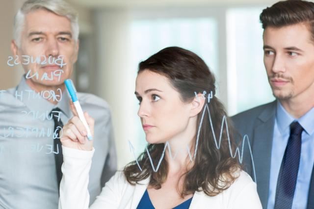 The Leadership Blueprint: Analyse, Adapt, and Succeed cover picture