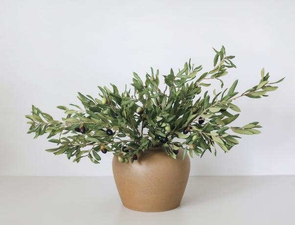 Bringing the Outdoors In: Decorating with Artificial Olive Branches cover picture