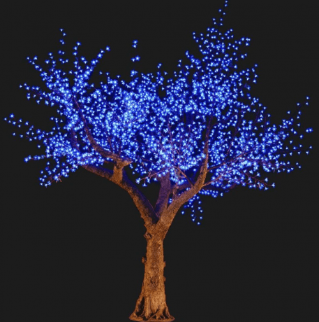 Transform Your Space with Stunning Blue LED Trees cover picture