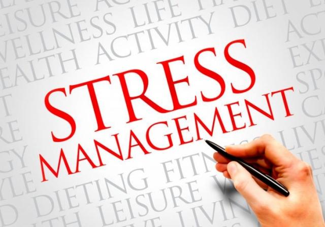 The Ultimate Guide to Stress-Free Travel: 7 Must-Have Items cover picture