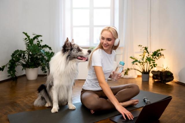 Your Guide to a Holistic Approach to Pet Wellness cover picture