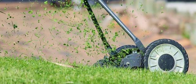 5 Easy Lawn Care Tips for a Healthier Yard cover picture