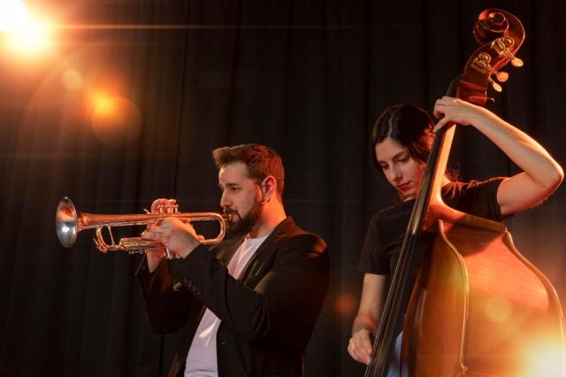 How a Harp Can Elevate Your Event to the Next Level cover picture