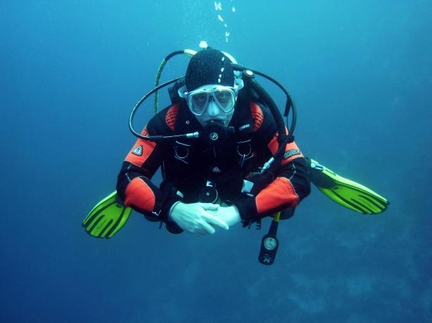 Benefits of Scuba Diving to Your Wellbeing cover picture