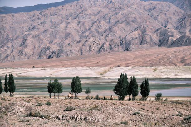 Inspired by the Silk Road: Motivation and Mindfulness on a Turkmenistan Tour cover picture