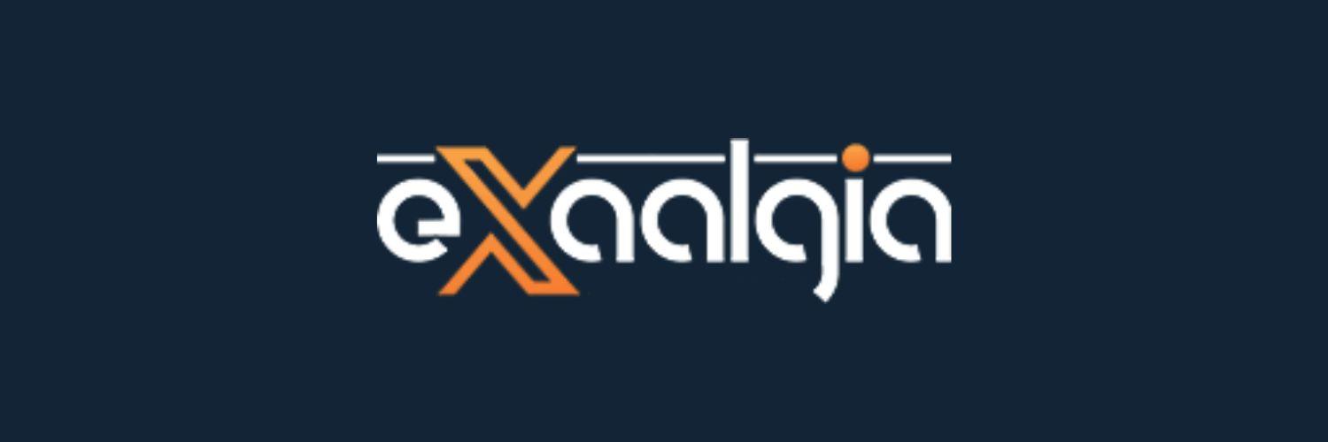 Exaalgia IT Solution's cover picture