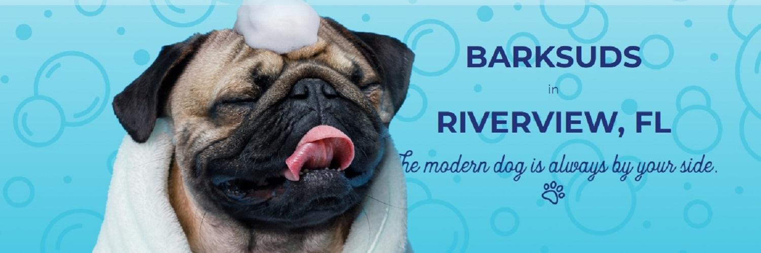 Barksuds     Riverview's cover picture
