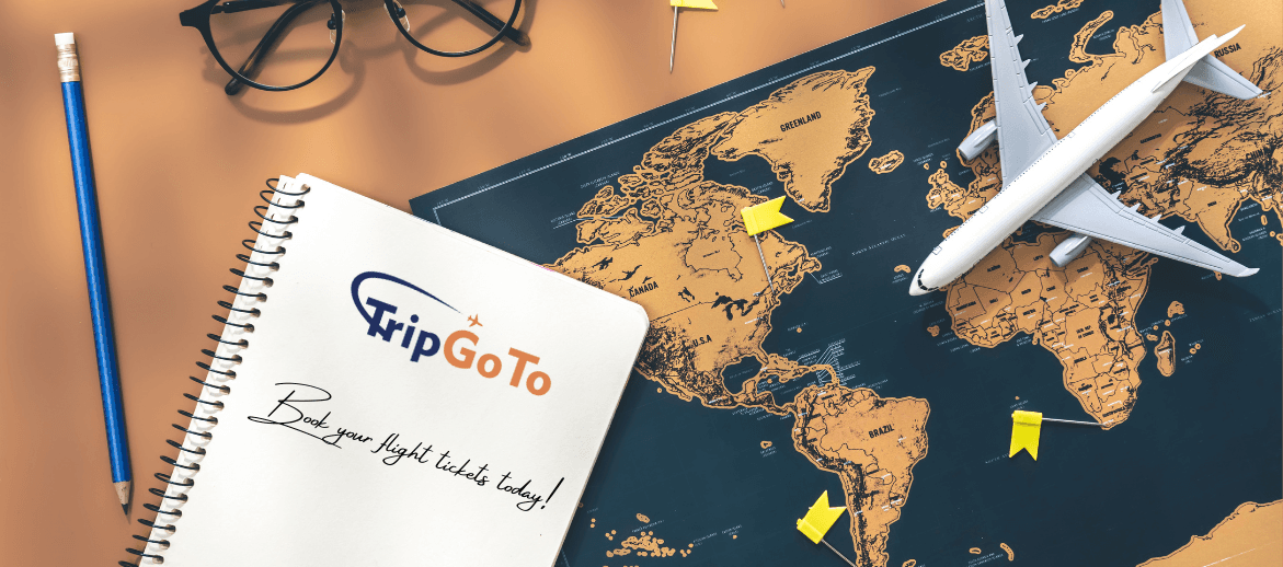 GoTo Trip's cover picture
