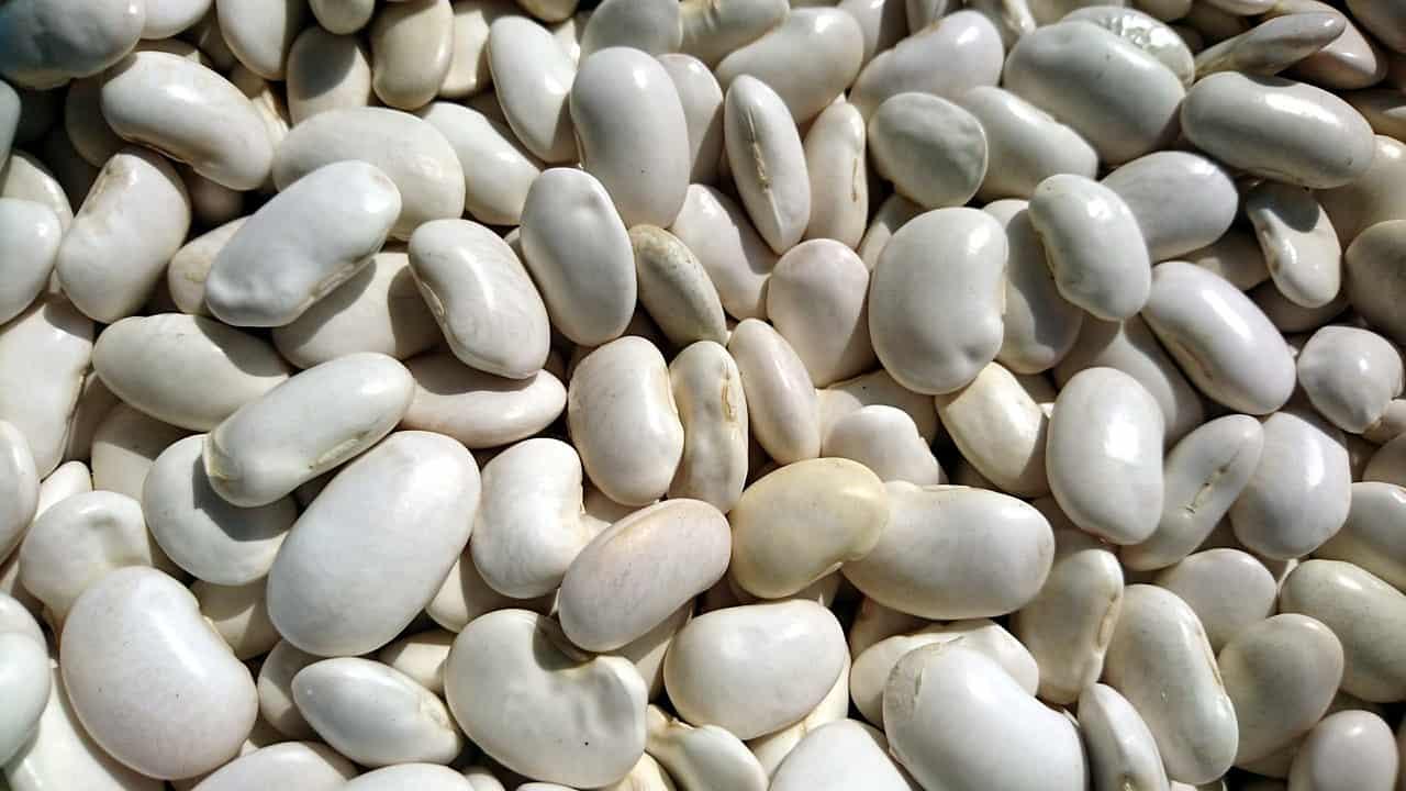 Important health benefits of white beans cover picture