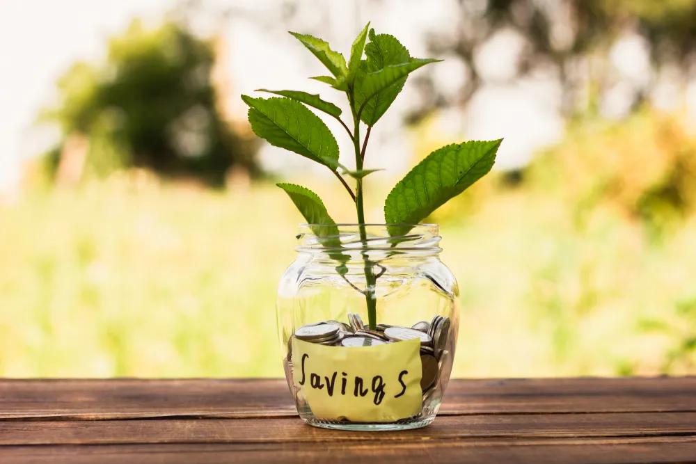 Simplifying Your Financial Life to Support Sustainable Goals cover picture