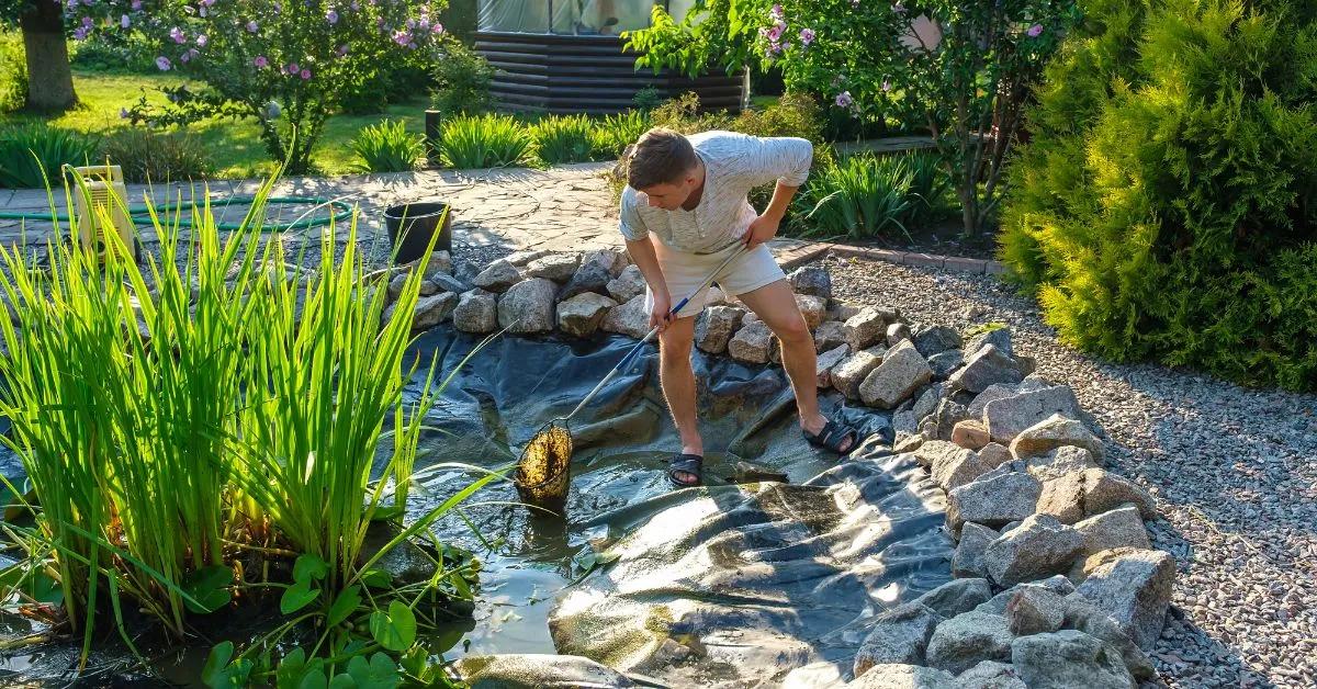 Designing a Pond: Create Your Backyard Oasis cover picture