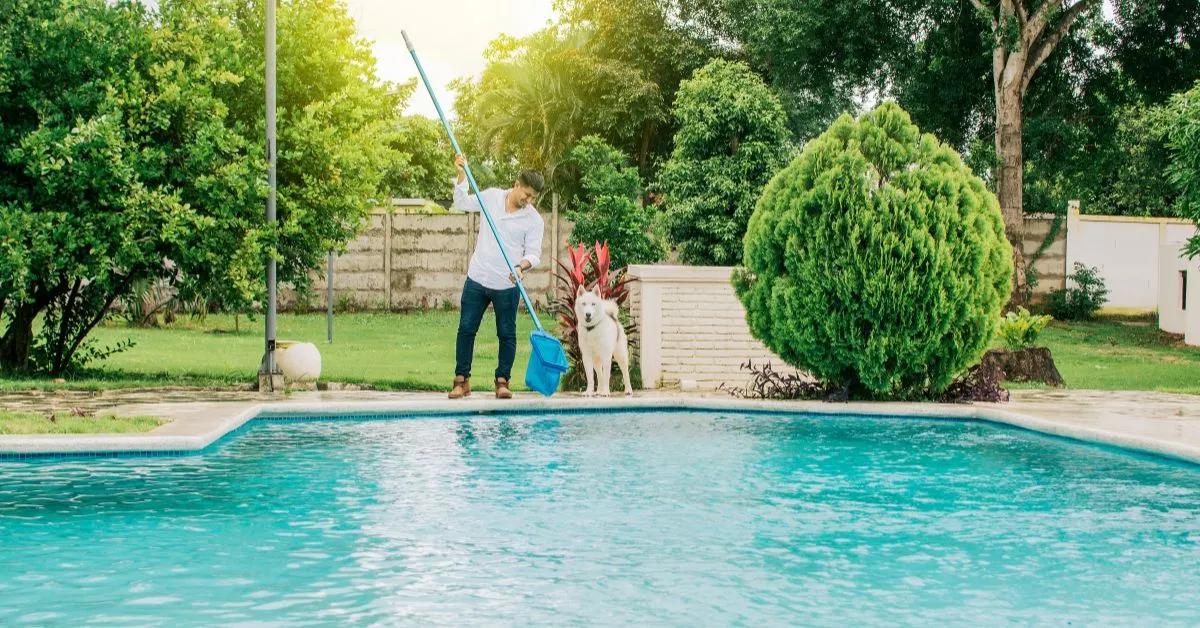The Importance of Preventive Maintenance for Swimming Pools cover picture
