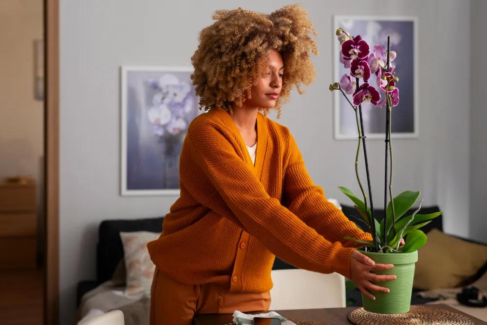 Indoor Plants in Home Decor