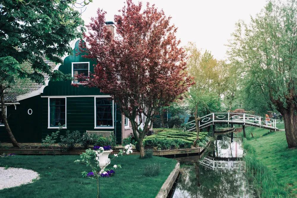 How to Deal with Leaks in a Garden Pond cover picture