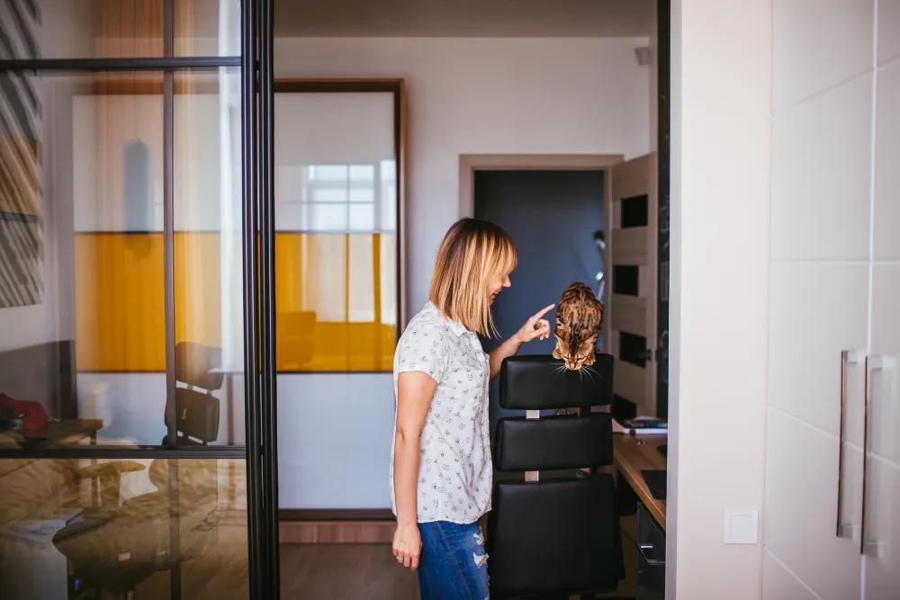 Wardrobe Sliders vs Hinged Doors: Space, Cost, and Durability cover picture