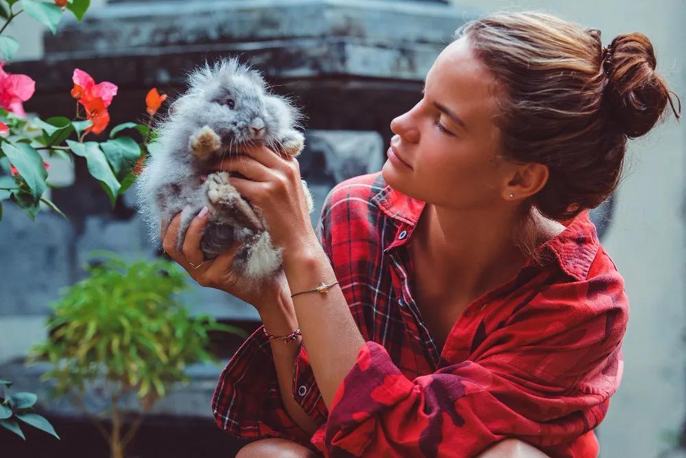 How to Start Your Own Holistic Animal Sanctuary cover picture