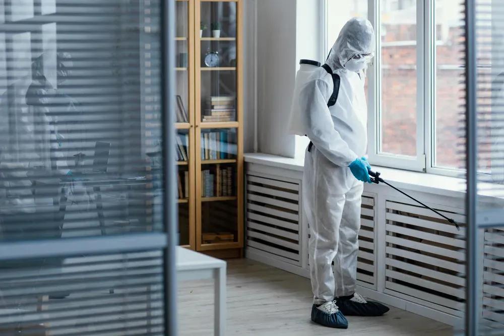 Protecting Your Home from Pests in Sacramento: Why Local Experience Makes the Difference cover picture