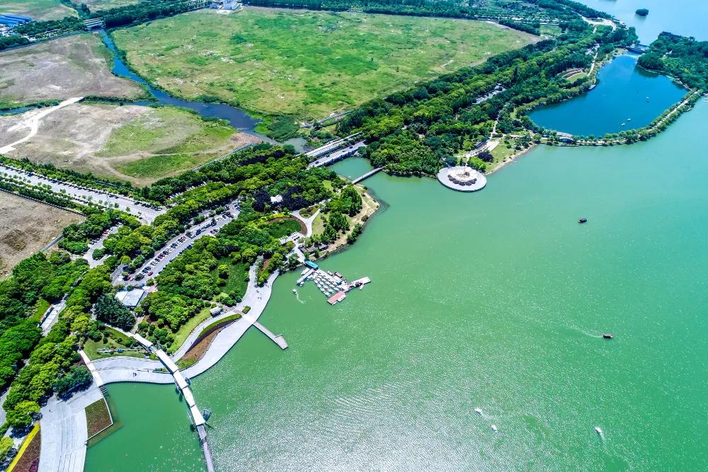 Sustainable Cruise Travel: How the Industry Is Going Green cover picture