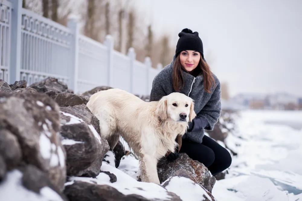 What Makes Winter Boots for Dogs Comfortable and Secure cover picture