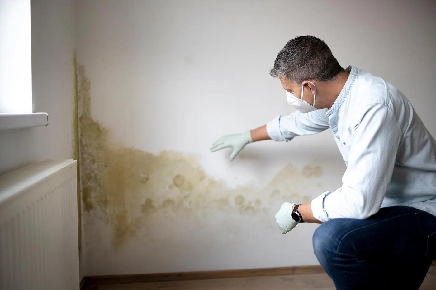 Mold in Your Home: Health Risks, Prevention, and Why Professional Mold Remediation Matters cover picture