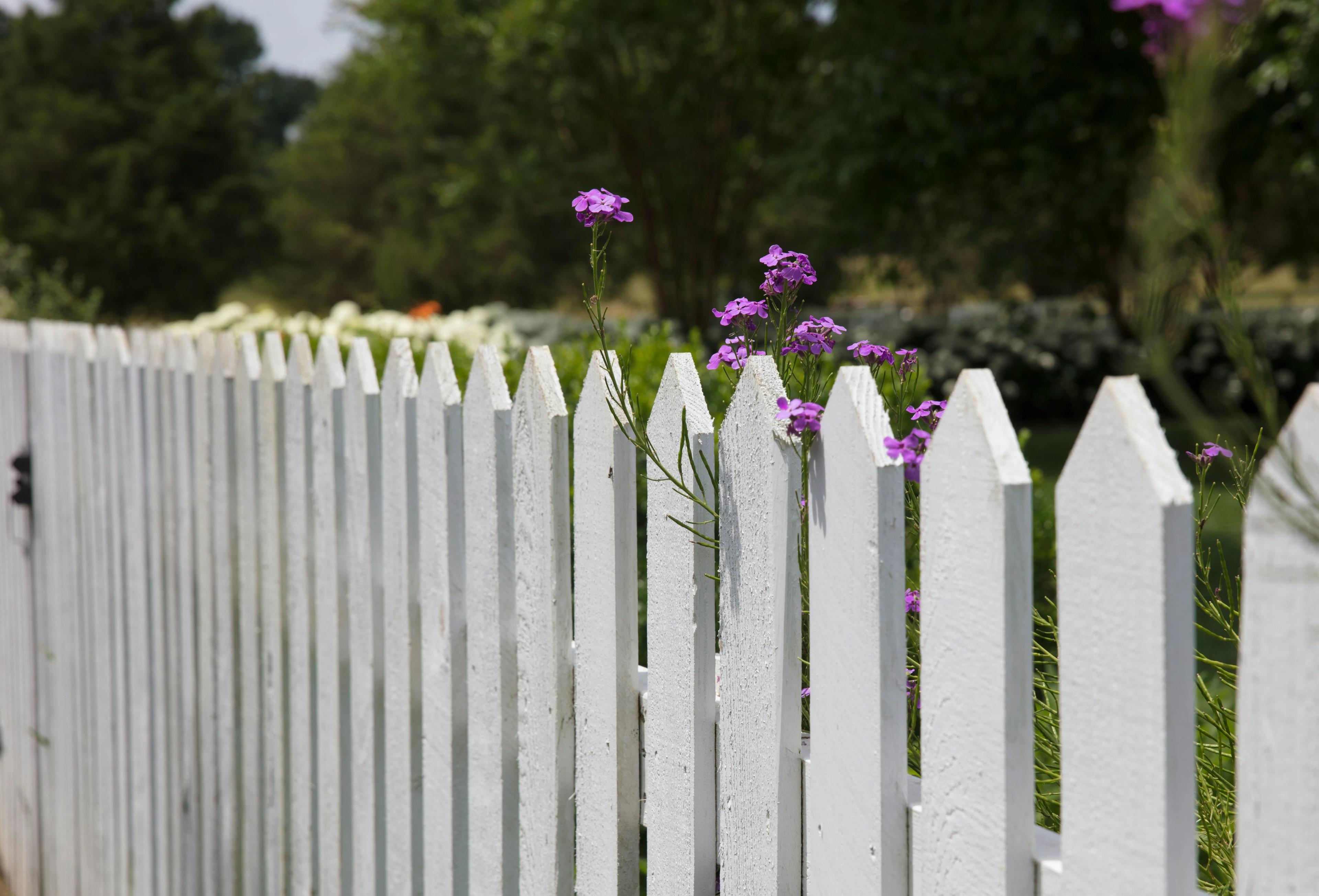 Will Your Garden Upgrades Survive British Weather Year-on-Year? cover picture
