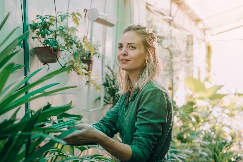 Breathing Easier: How Indoor Greenery Improves Your Mood and Your Air Quality cover picture