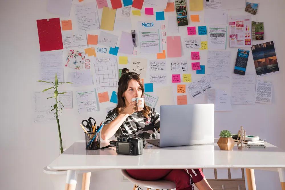 5 Tools Every Content Creator Needs in 2026 cover picture