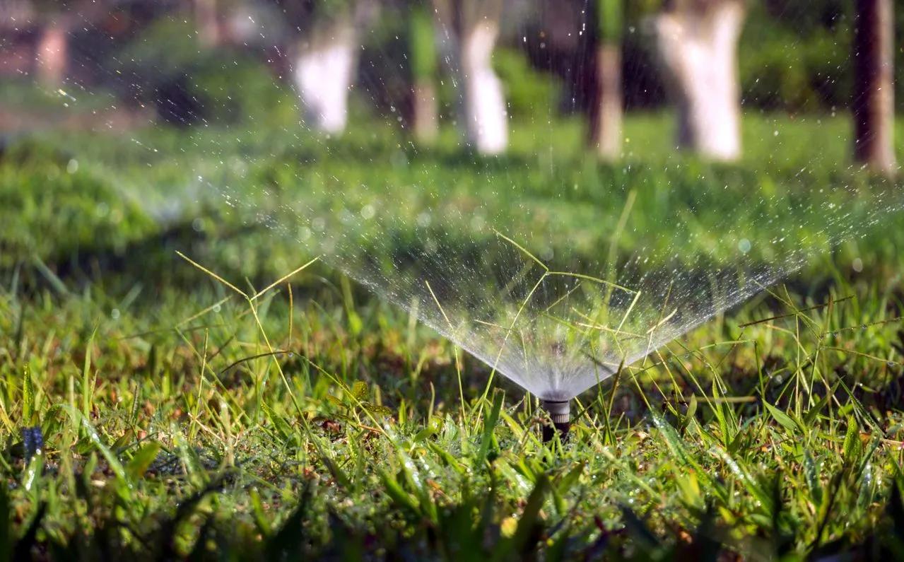 Smart yard watering routine