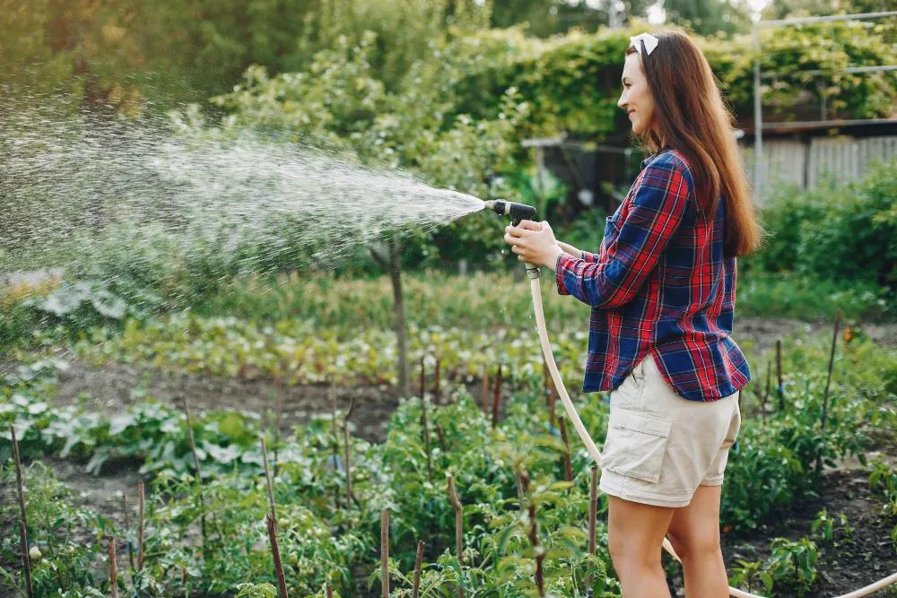 Garden water usage