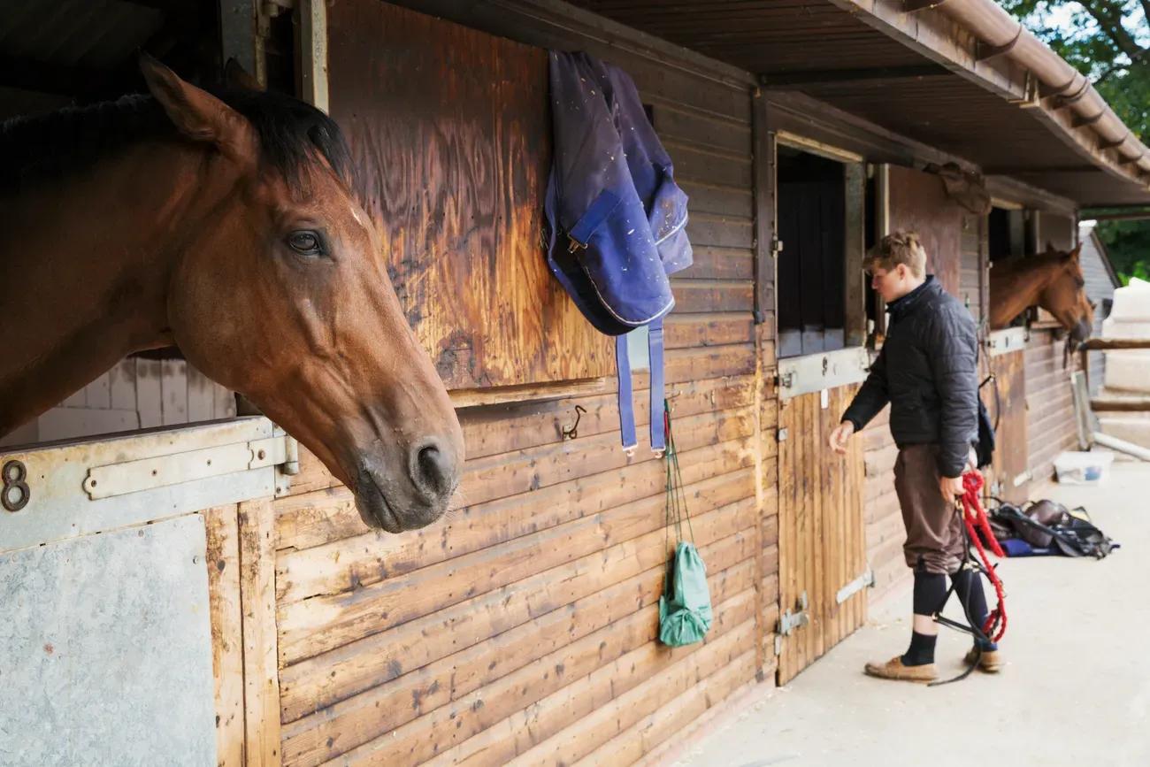 How Technology Is Changing the Way People Board Horses cover picture