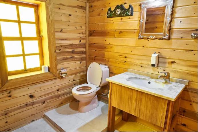The Green Home: How Your Toilet Choice Supports Environmental Stewardship cover picture
