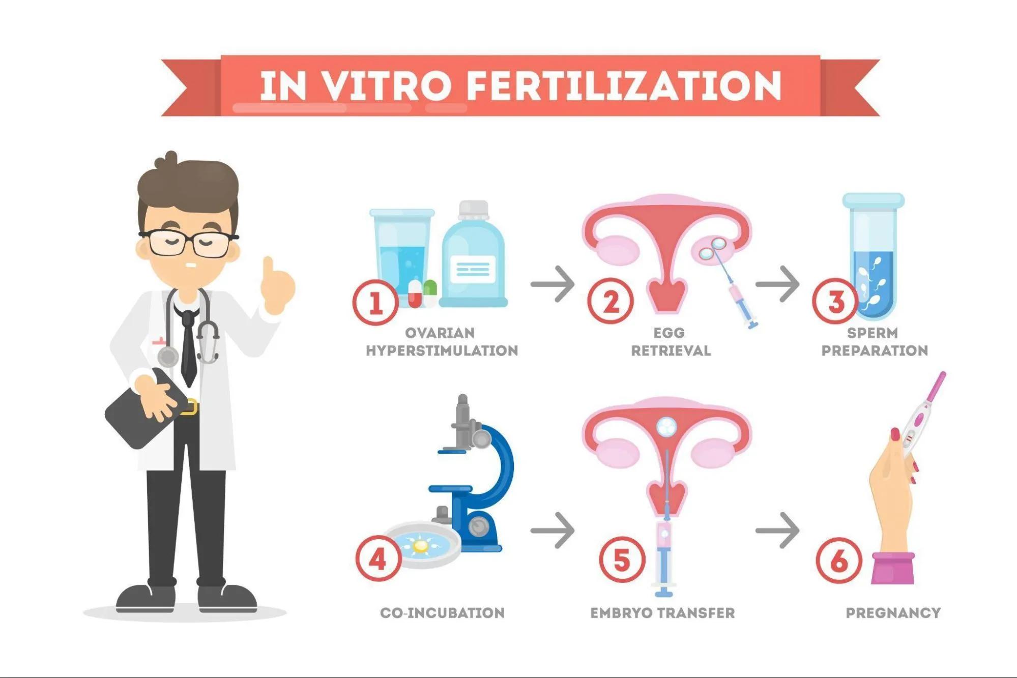 When Should You Consider IVF? Signs It May Be Time to Explore Fertility Treatment cover picture