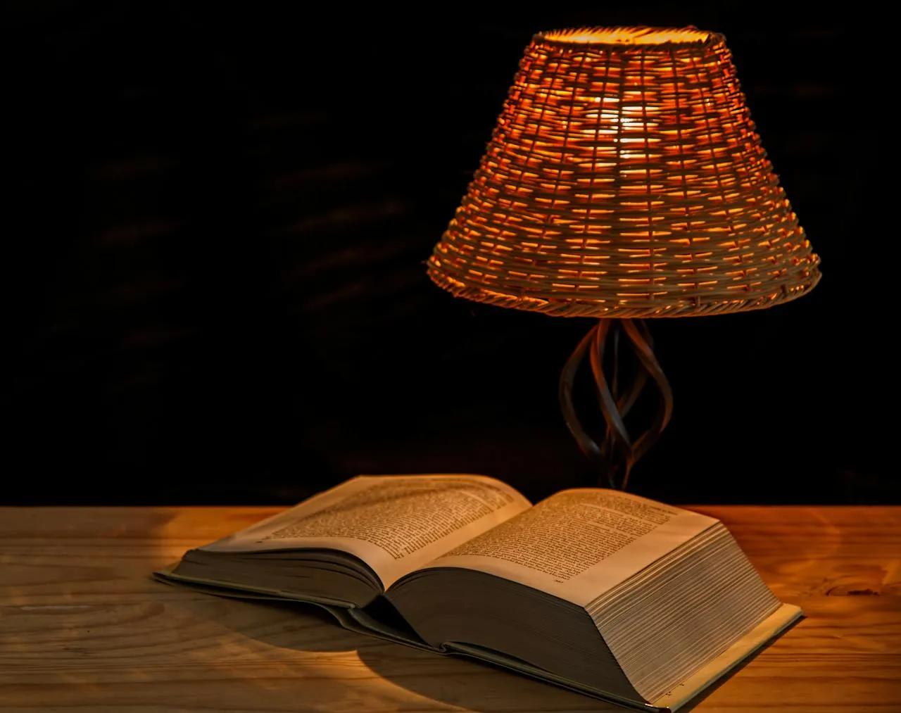Book Review: The Custodians cover picture