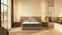 Searching Best Mattress for Back Pain Henrietta NY Deals? cover picture