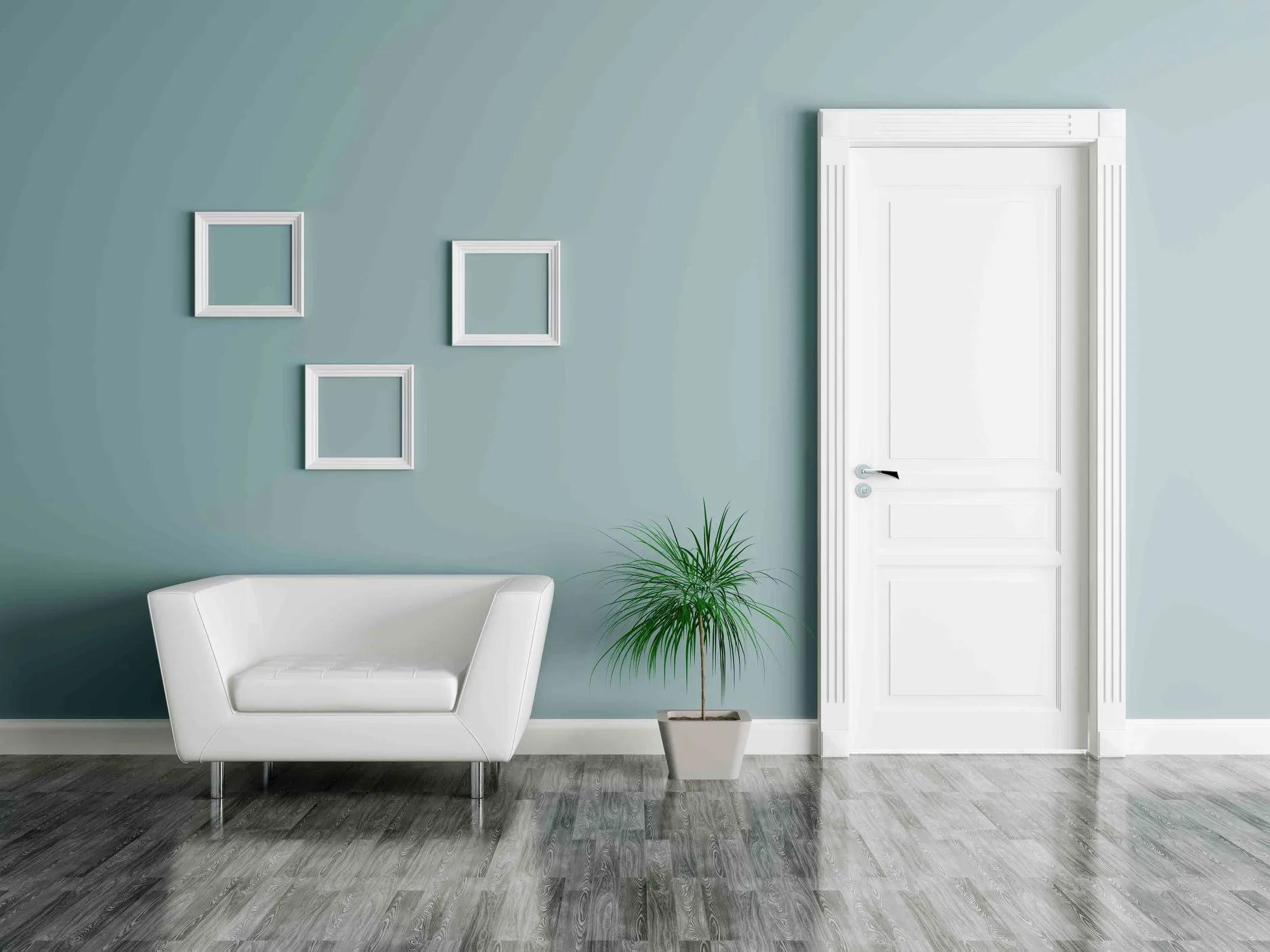 How to Choose Doors for Bedrooms, Bathrooms, and Main Entry cover picture