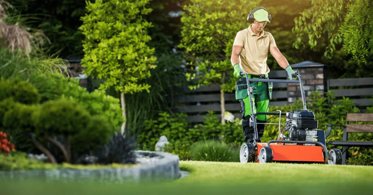 Lawn Problems Lawn Specialists Can Fix Easily cover picture