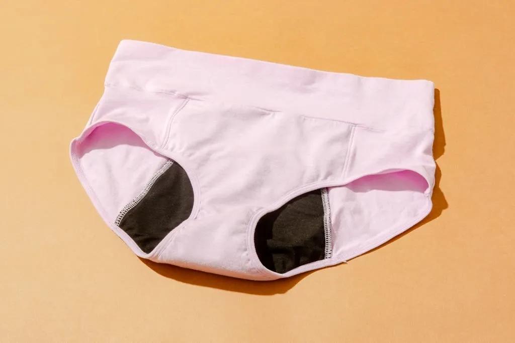 Periods Panties Market Size, Share and Growth Forecast 2025-2033 cover picture