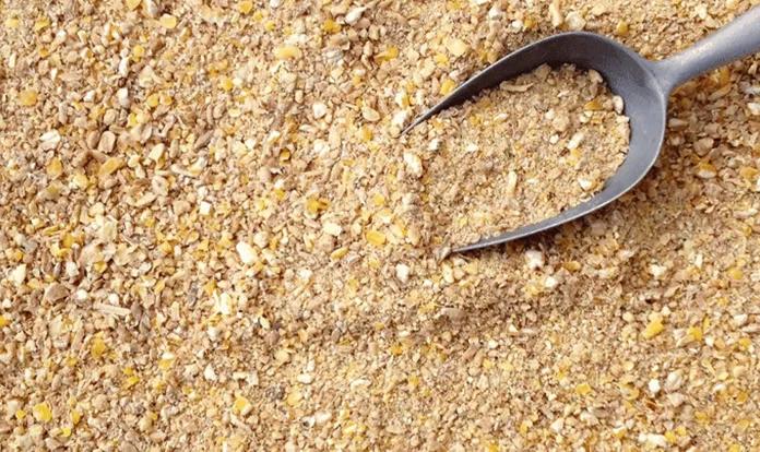 Feed Premix Market Size, Share and Trends Demand 2025-2033 cover picture