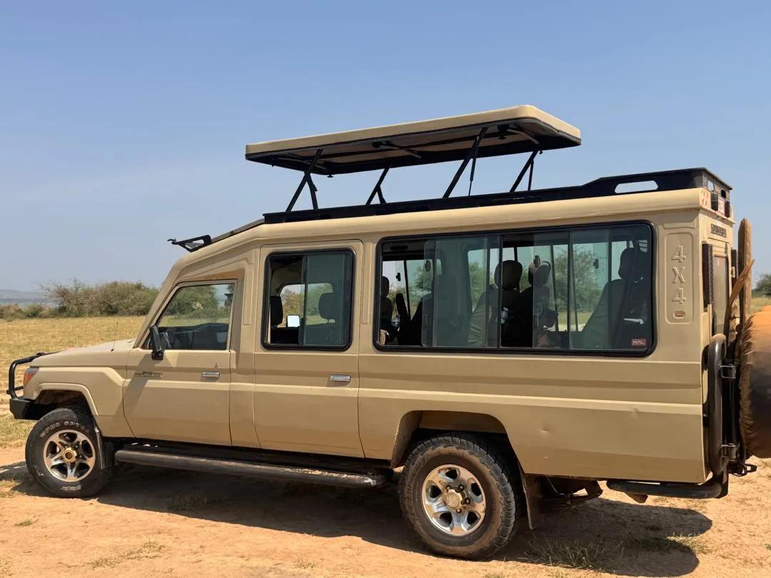 Wild Heart Journey: Gorilla Trekking Rwanda and Classic African Safari Dreams cover picture