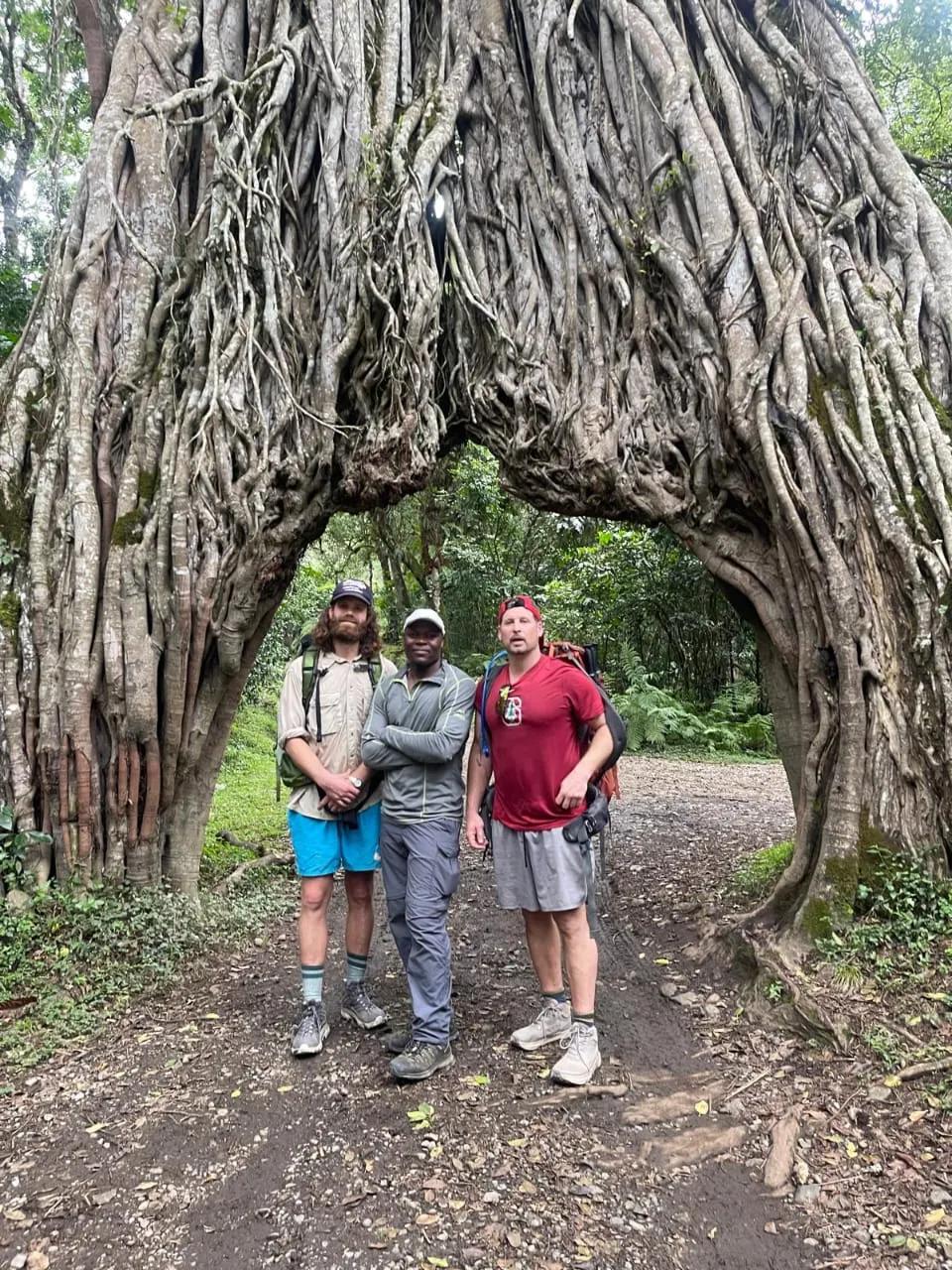 Tanzania Safari and Kilimanjaro Climbing Guide 2026: Real Travel Experience, Costs, Timing & Packages Explained cover picture