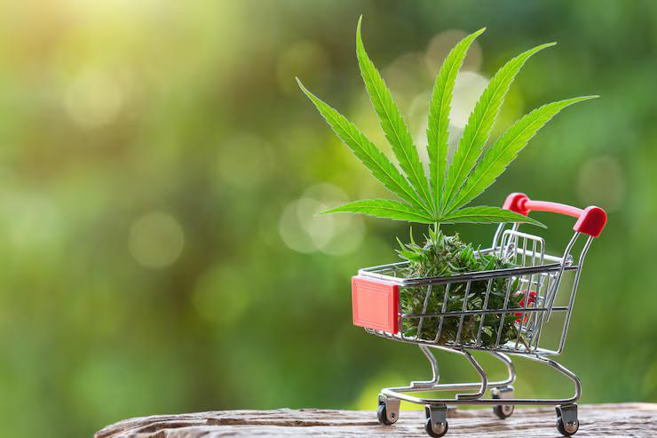 Shopper’s Guide to Recreational Cannabis in Seattle cover picture