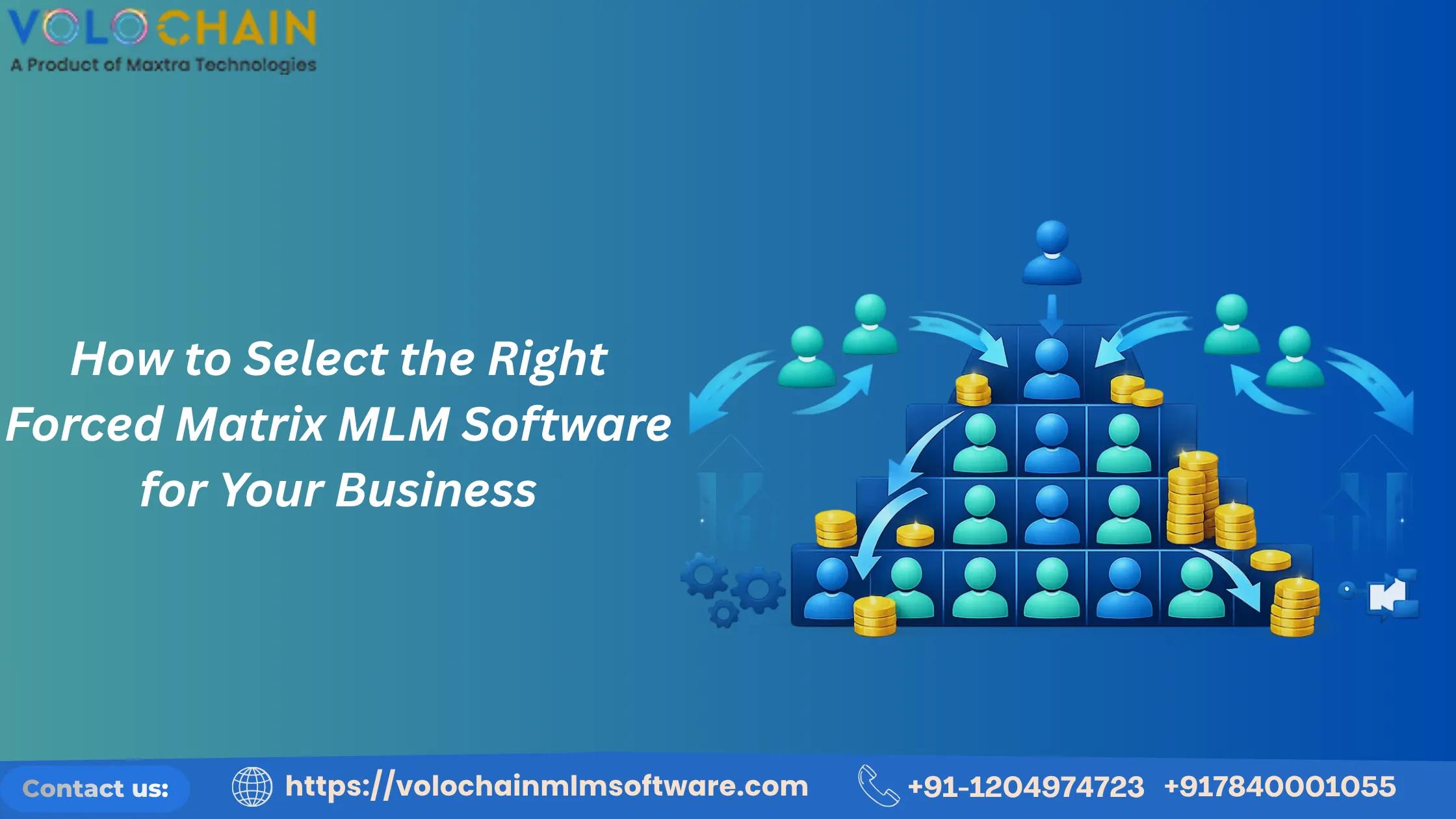 How to Select the Right Forced Matrix MLM Software for Your Business cover picture