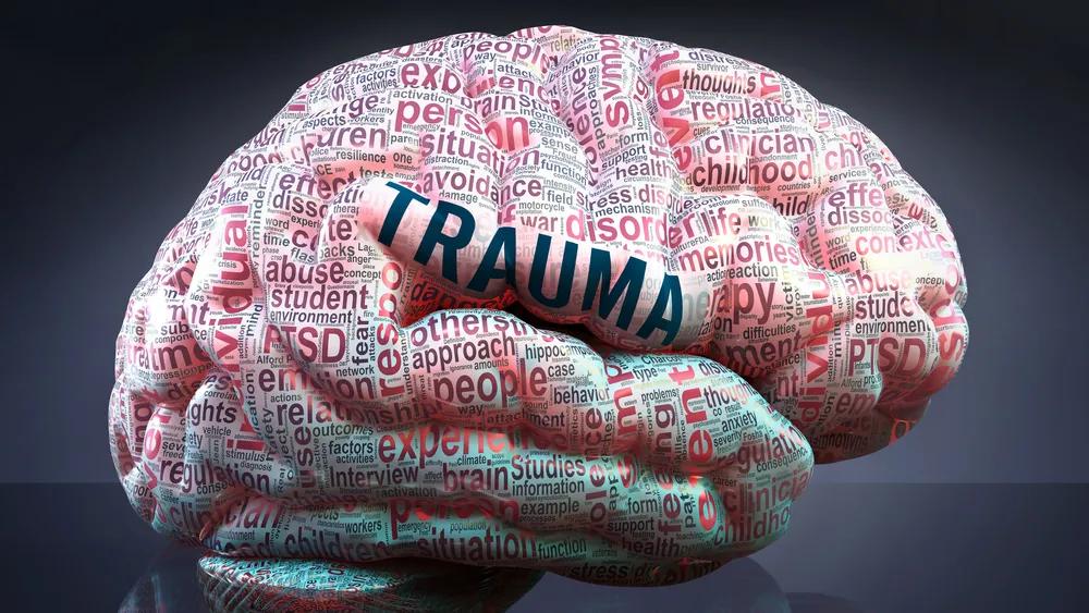 EFT and Trauma Informed Care cover picture