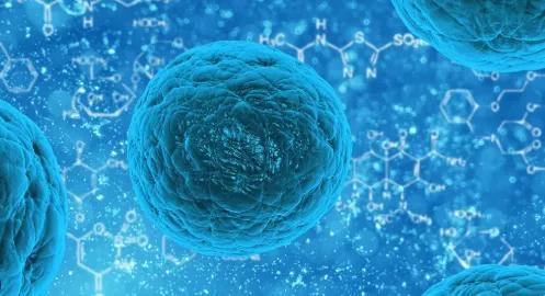 Could Stem Cell Therapy in Mexico Be Right for You? Key Factors to Consider cover picture