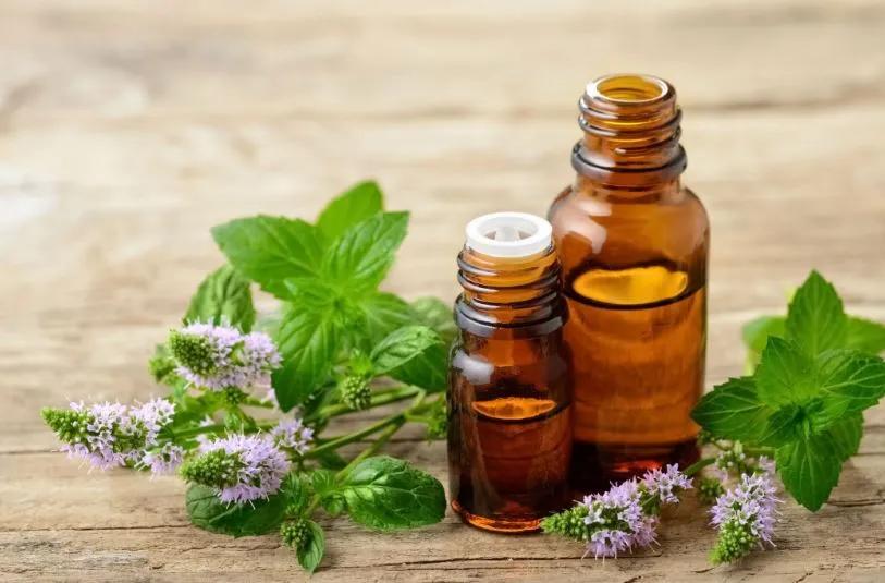Pure Patchouli Essential Oil: Origin, Benefits, Uses, and Why Quality Matters cover picture