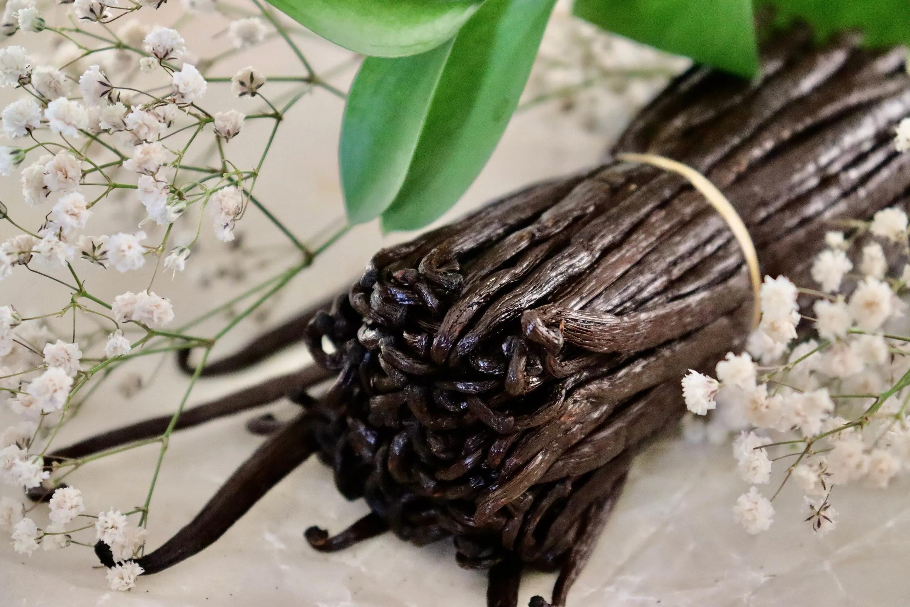 Bourbon Vanilla: Understanding Its Rich Flavor, Quality, Uses, and Culinary Value cover picture