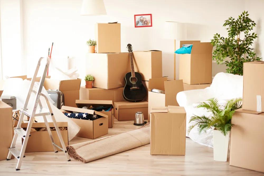 How to Pack an Entire House Like a Professional cover picture